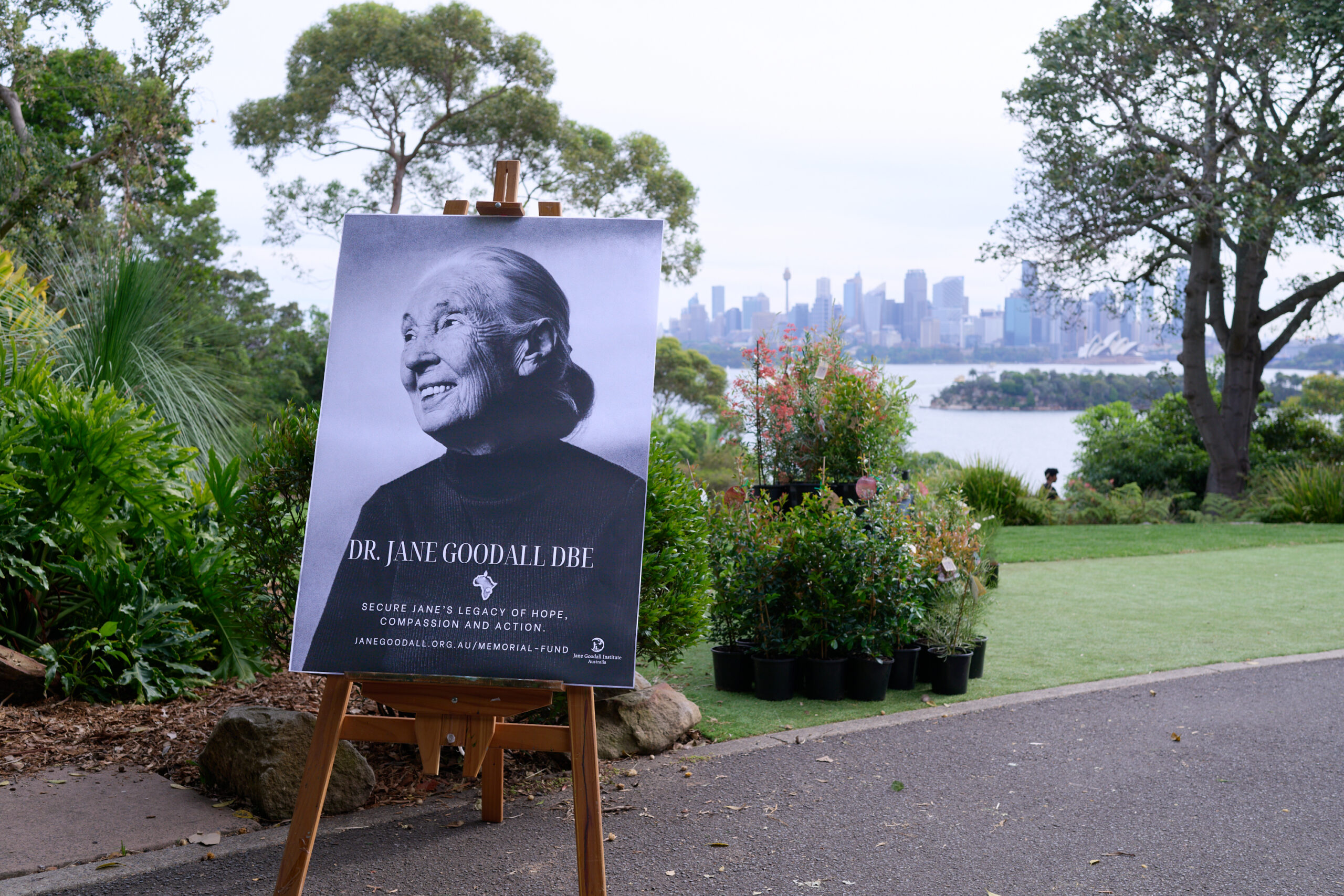 CaseStudy 54 - 14-11-25 JGIA Memorial 2025 Taronga 009